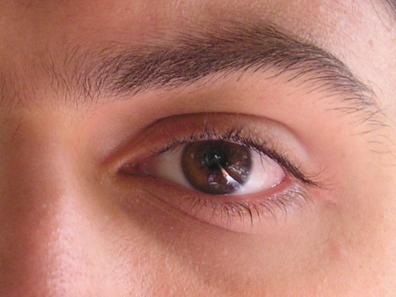 Date this cute United States man Eduardo81 from New York US15000